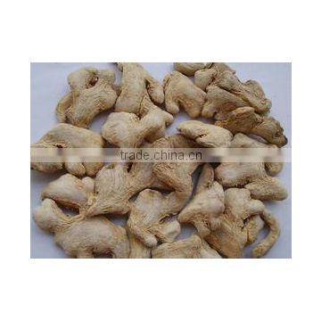 Organic Gan Jiang Extract Powder