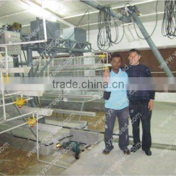 Poultry Chicken layer battery cage(factory high quality)