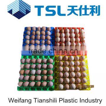 30 holes plastic incubator egg trays