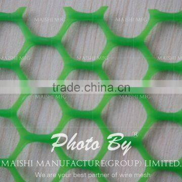 425gsm HPE Plastic Wire Mesh photo-4