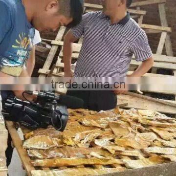 Industrial Fish Drying Machine / Dried Fish Machine photo-5