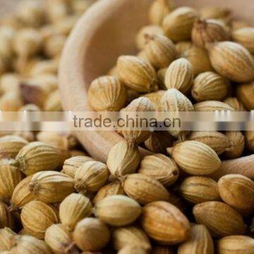 Coriander Seeds photo-2