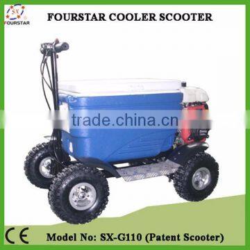 New design gas wholesale cooler scooter