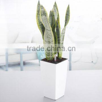 hydroponics flowerpot,square planter,office decorative flower pot