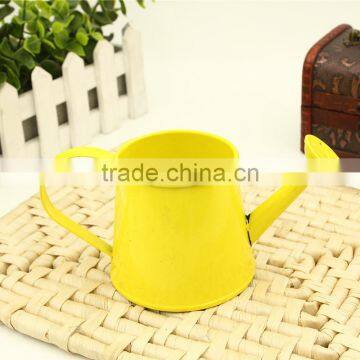 China Nanning in Bulk Colorful Small Indoor Unique Teapot Shape Kids Decorative Metal Watering Cans for Sale photo-3