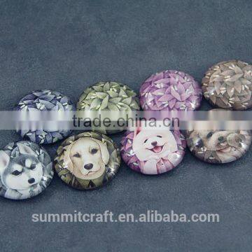 Round Shape Animal Crystal Fridge Magnets Glass Magnet photo-2