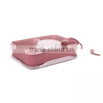 Plastic Lunch Box Food Container Bento Lunch Box photo-4