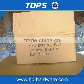 Galvanized Umbrella Head Roofing Nails With Best Price photo-6