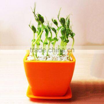 Square Mini Desk & Table Flower Pot photo-2