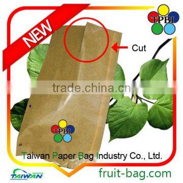 Small Bag Taiwan Factory Wax Apple Protection Paper Bag Custom Packaging Bag photo-4