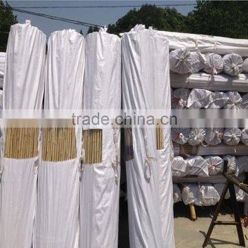 Bamboo Raw Materials/nature bamboo pole