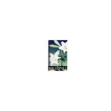 Sell 3D Spiral Note Book