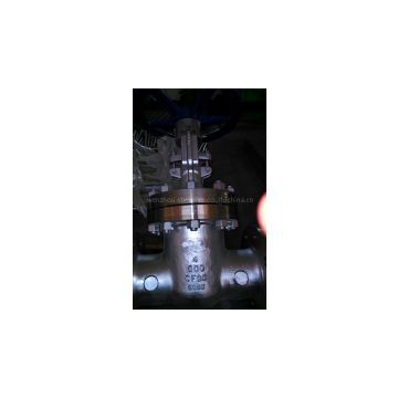 CF8C GATE VALVE,600LB,DN100,RF