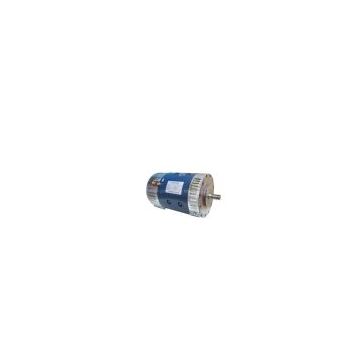 DC Traction  Motor for Golf Car & Site-seeing Car