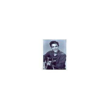 Elvis canvas picture