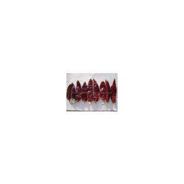 dried yidu chilli supply