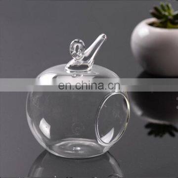 terrarium hanging glass terrarium home decoration