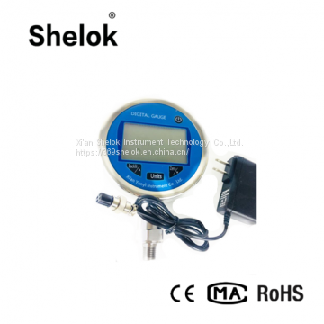 RS485 digital precision pressure gauge