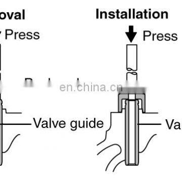 Dachai TCD2013 L06 4V Cylinder Valve Guide 04250074 for Bus Engine