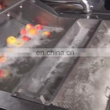 Highly Recommended Small Scale 300kg/h Fruit Vegetable Bubble Washer Machine