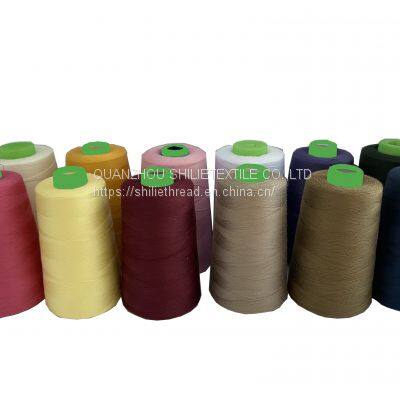 Manufacturer Supplier 40/2 Customized Multicolor Polyester Sewing Thread Yarn for Multiple Use photo-2