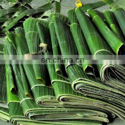 BEST Price Natural LEAF Banana Leaves/Fresh Banana Leaf photo-5
