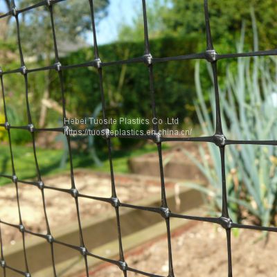 Durable Grape Protection Bird barrier Net/ PP Plastic Pond Cover Fish Net