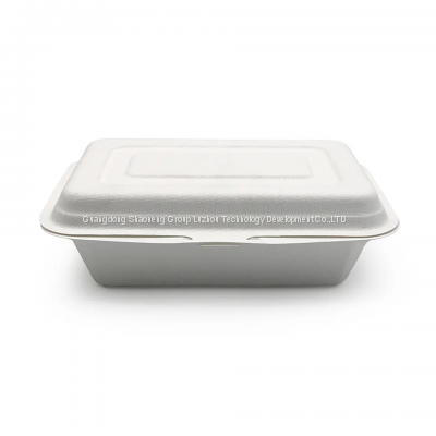 Customizable 450ml 17.5cm Greaseproof and Microwavable Eco Friendly Bagasse Food Containers Biodegradable Lunch Box Disposable photo-5