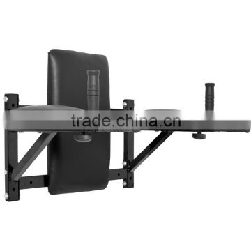 Combination Dip/Ab Station for wall-mounting