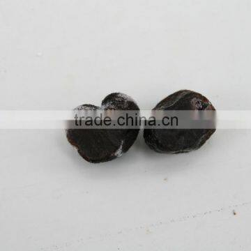 fully mature fresh wild black truffle mushroom