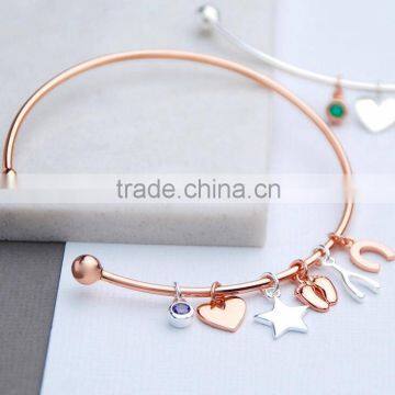 Stainless Steel Rose Gold Personalised Life Story Skinny Charm Bangle