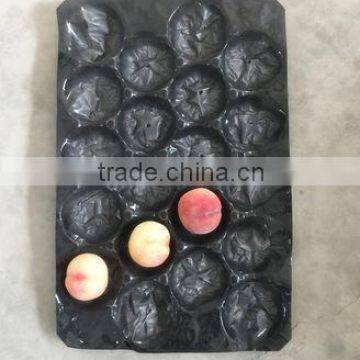 PP/PS/PET Plastic Tray /packaging Tray /fruit Tray