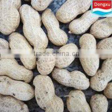 raw peanut in shell 11/13