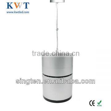 220v big ceiling lamps chandeliers lights 20W