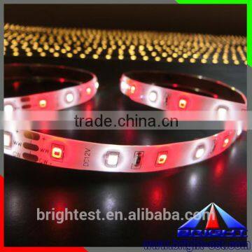 Two Color SMD2835/SMD5630 Temperature Adjustable Led Strip 12V photo-4