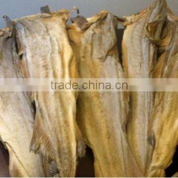 Dried Norway stockfish/ Iceland stockfish