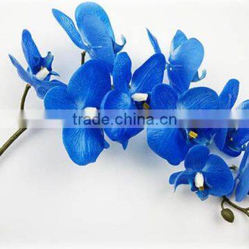 Real touch artificial blue phalaenopsis Orchid