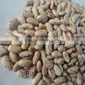 light speckled white kidney beans