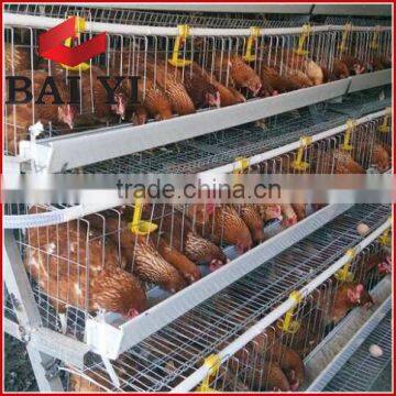 Poultry Farm Cage Design For Layer Chickens