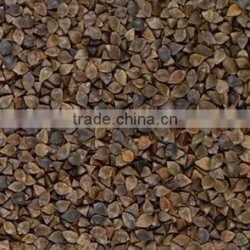 Top quality low priced Buckwheat