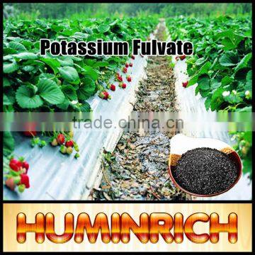 Huminrich Shenyang 70HA+15FA+6K2O 100% Water Soluble Potasium Humate