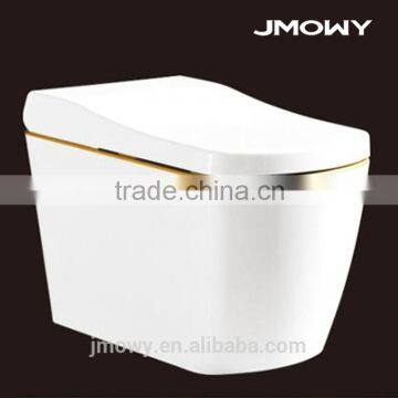 Ceramics Electric Intelligent Toilet with Bidet Wash