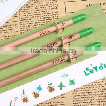 Pencil Can be Planted photo-5