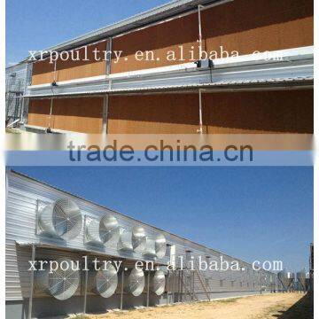 Automatic chicken shed/coops for poultry farm