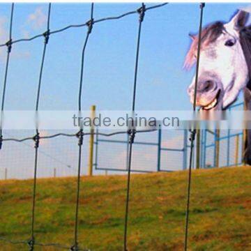 Agricultural Farm Fence