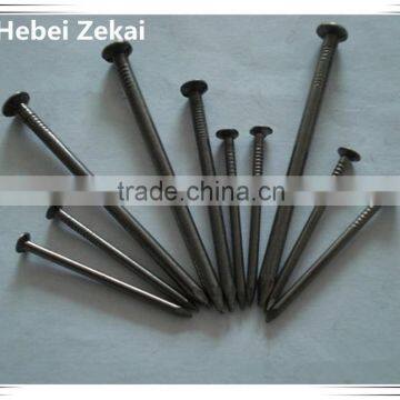 High quality common iron nails/iron wire nails price