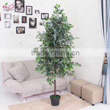 Yiwu cheap indoor decorative artificial ficus plant