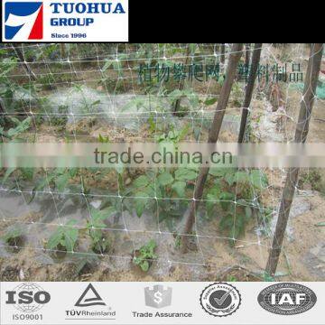 China Factory Direct Sale Plant Support Net with Best Price