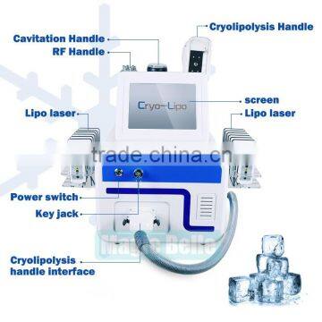 Body Reshape Multifunction Body Slimming 4 Functions Fat Freezing Cavitation RF Lipolaser Cryolipolysis Slimming Machine photo-2