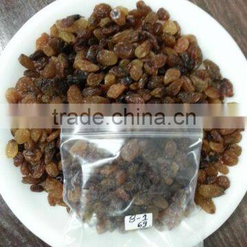 Malayer Raisin